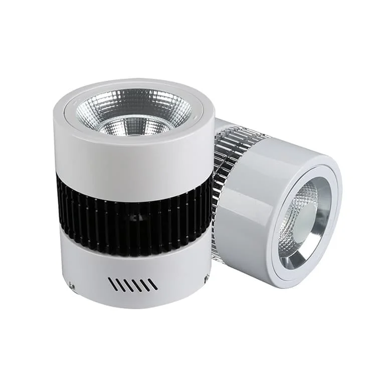 Downlighty natynkowe lub zwieszane 50–200 W